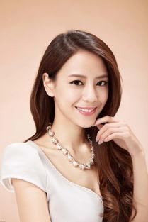 大台湾明星,大台湾明星风采掠影