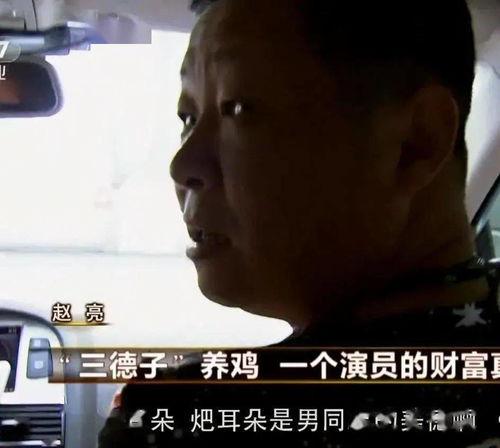 娱乐圈鸡鸭,娱乐圈鸡鸭风云录