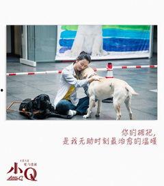 小q拍摄花絮,镜头背后的温馨瞬间