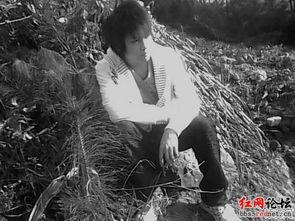 作家十二照片曝光,十二张照片背后的故事