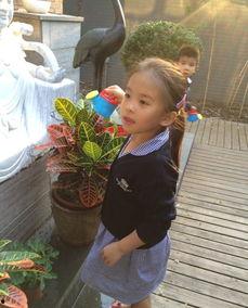 刘涛儿女生活照